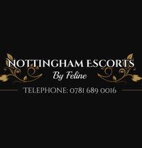 escort agencies in nottingham|Nottingham Escorts from Feline Escorts .